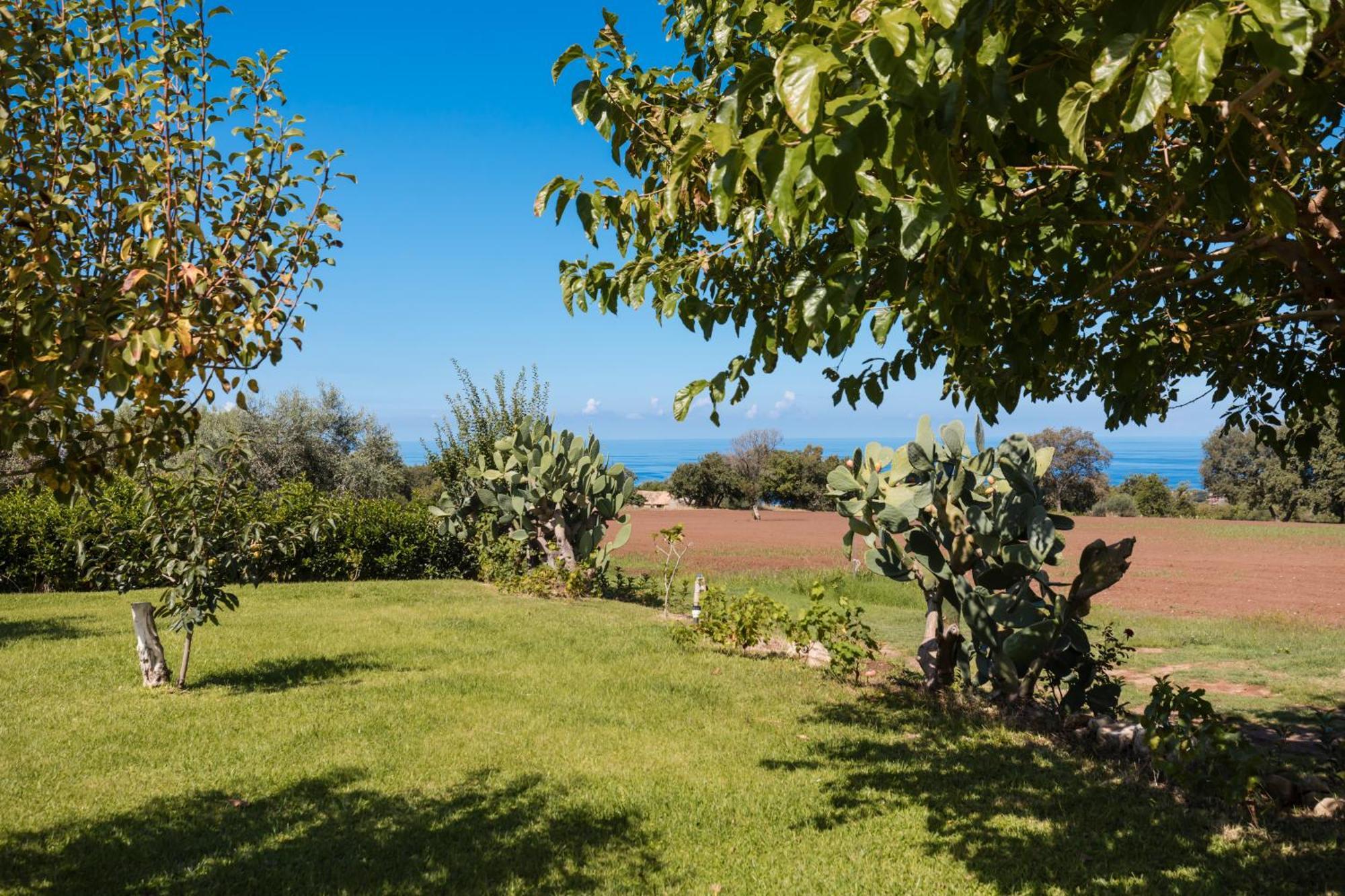Villa Eirene Ricadi Extérieur photo